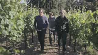 Banshee Wines has gone Google