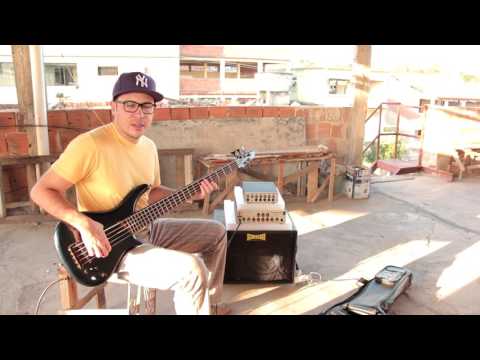 Review Eden WT550 Vs WTX500