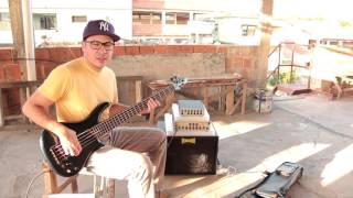 Video thumbnail for Review Eden WT550 Vs WTX500 by Johnny Quintino