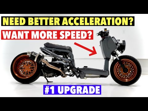YouTube video about: How fast do honda ruckus go?