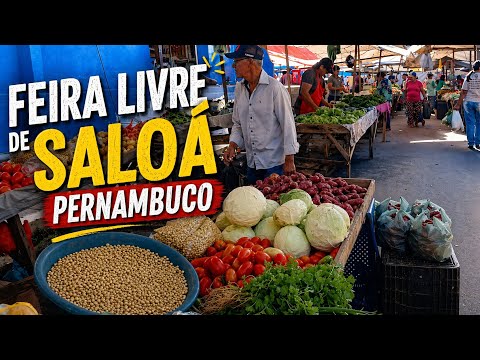 FEIRA LIVRE DE SALOÁ PERNAMBUCO, PREÇOS ATUALIZADOS E MUITO MOVIMENTO!