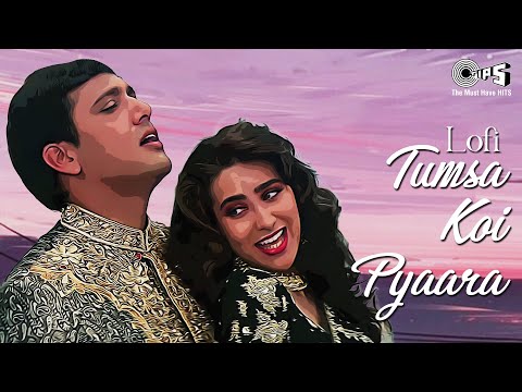 Tumsa Koi Pyaara - Lofi Mix | Alka Yagnik, Kumar Sanu | Govinda, Karisma | 90's Hits | Lofi Songs