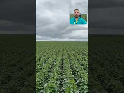 AVRA 2471 i2x mostrando todo seu potencial em Jatai, Goiás.