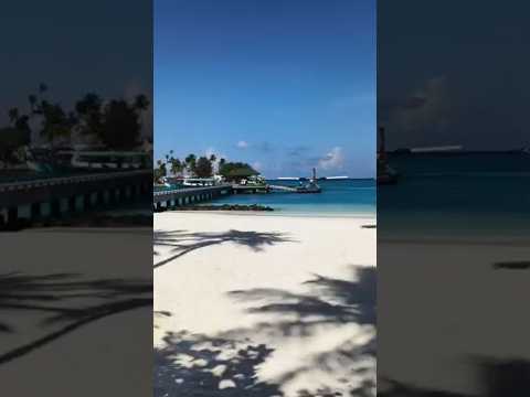 Flying Over Paradise 🌊✈️ | Maldives Seaplane Ride #shorts #shortvideo #youtubeshorts #shortsfeed