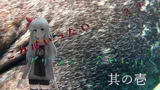 NO.８　リアルアザラシに会いに行ってみた！！