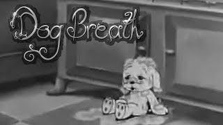 Frank Zappa - Dog Breath, In The Year Of The Plague