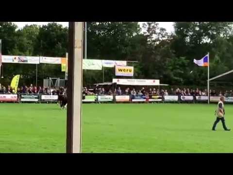 Magic eclipse flash dance kampioen hackney Demi van Nispen