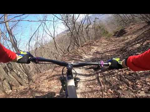 Bramble Lugagnano Parco provinciale monte moria enduro mtb