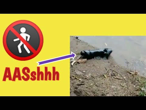 Creepiest insect|weirdest creepy crawly monster | Project How To Make