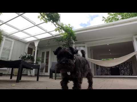 SOLD - 159 Main Highway, Ellerslie - Nick Lyus