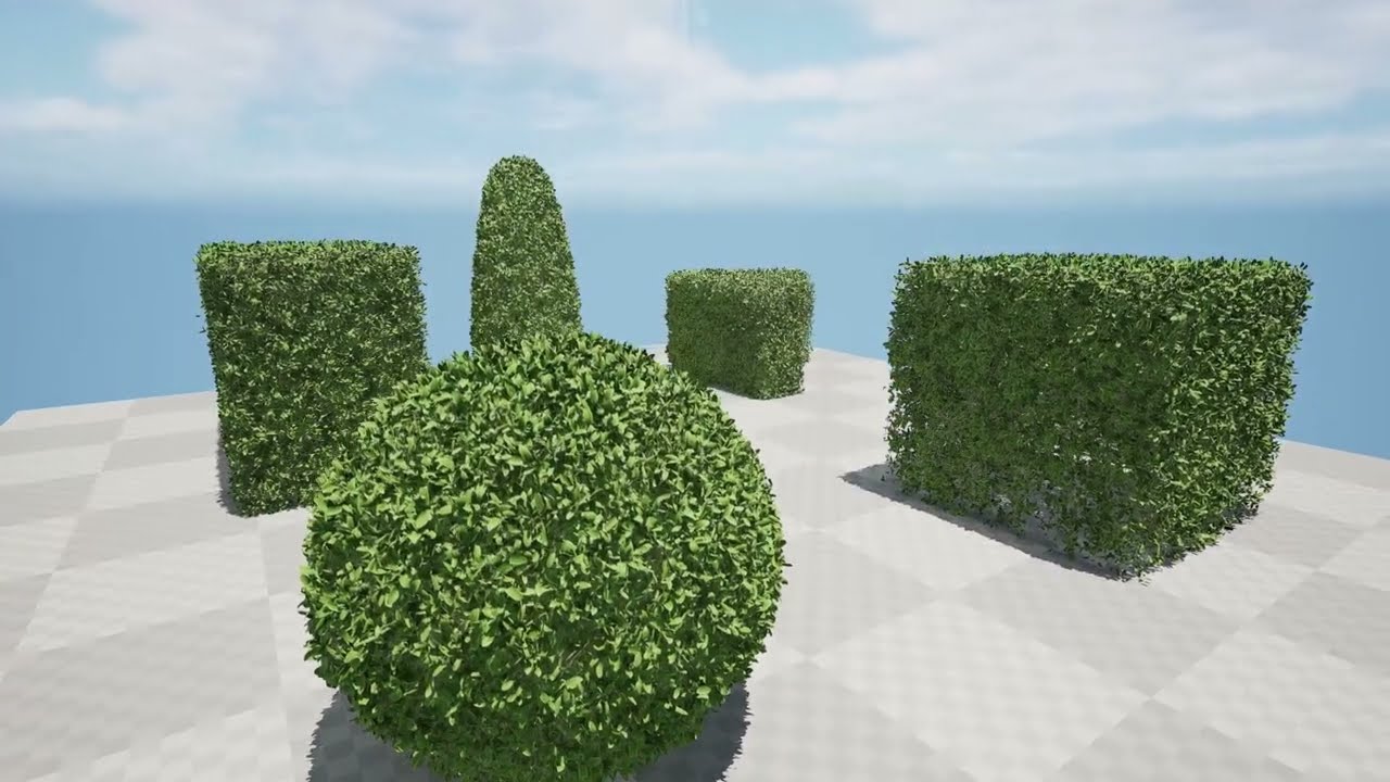 5 boxwood Hedge 3D Model