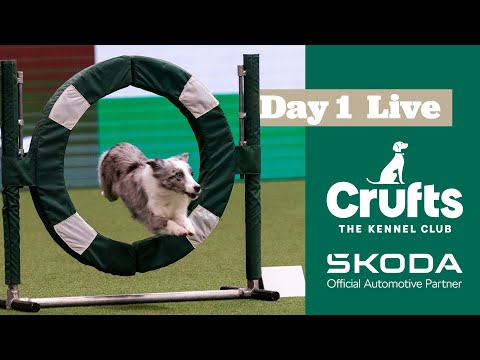 Day 1 LIVE | Crufts 2025
