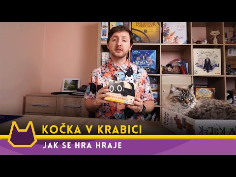 Cat in the Box - how to play