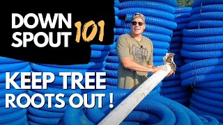 How to Keep Tree Roots Out Of Buried Downspouts [ Full Installation ]