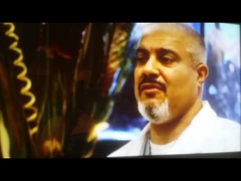 download lagu mp3 mp4 Rashid Buttar Wikipedia, download lagu Rashid Buttar Wikipedia gratis, unduh video klip Rashid Buttar Wikipedia