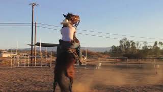 How to stay on a rearing horse. Crazy horse!