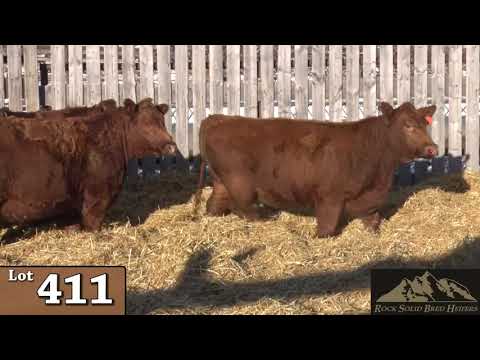 Lot 411 - Rock Solid 2019.mp4