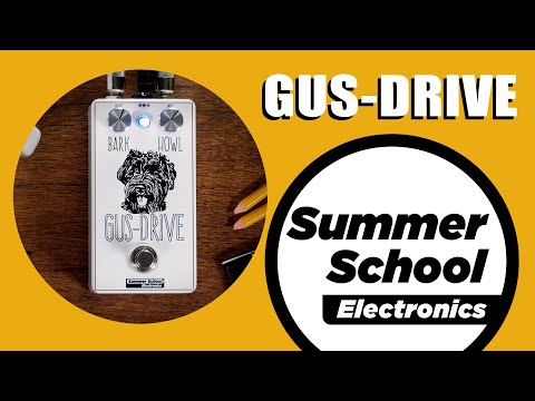 Summer School Electronics Gus-Drive image 3