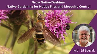 Grow Native! Webinar: Native Gardening for Native Flies with information on Natural Mosquito Control