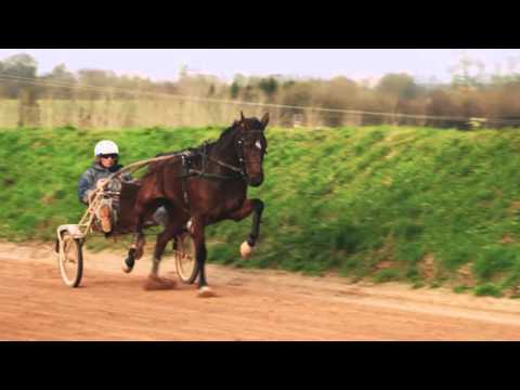 Europachampion Sebastien Guarato