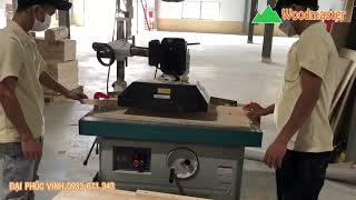 MÁY TUBI 1 TRỤC GẮN ĐƯA PHÔI WM-142