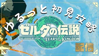 #8【ティアキン】ゲリラでほのぼの探索🦊🐾【ゼルダの伝説】