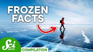 SciShow: Winter Compilation