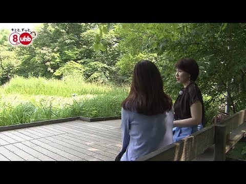 狼瘡 – それは何か、症状、診断、治療およびケア