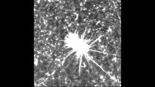 Dntel - Heart In Bed