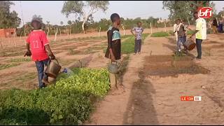 Banfora : l’école Chauvigny valorise l’éducation pratique avec son jardin scolaire