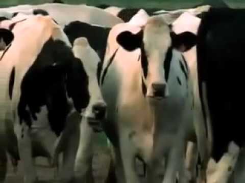 Orbital-Halcyon On and On (2013  Club Mix)