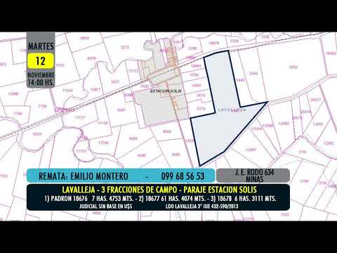 Emilio Montero remate judicial 3 fracciones de campo en Lavalleja.