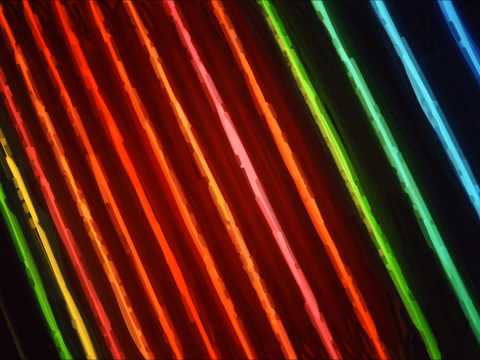 Merlin F - Sumpfbalg