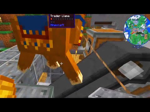 Unfassbar Lustig! Spark macht Lama Hack! Lachflash