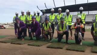 Gramilla natural es instalada en el nuevo estadio de LouCity