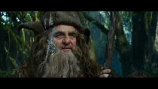 Radagast~ Stop draggin&#39; my car around (Weird Al Hobbit video)