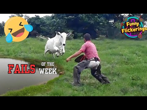 Hilarious Fails Compilation ep 31 : Best Funny Fails of Week | Funny Fails 2024!