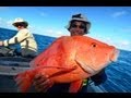 More Big Fish Kaos!! Deep sea fishing Video!! Great ...