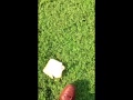 Fuckin Booty Bread (1st Slice)