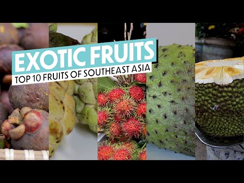 , title : '10 Exotic Tropical Fruits You Need To See (And Try!)