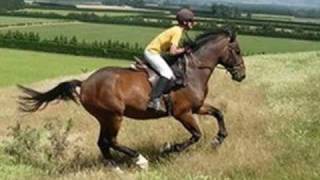 In Her Dreams, She Rides Wild Horses