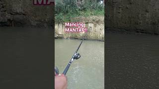 Download lagu spot mancing MANTAP !!#fishing #mancing #shortsviral #soundviral #shorts mp3 Download lagu spot mancing MANTAP !!#fishing #mancing #shortsviral #soundviral #shorts mp3