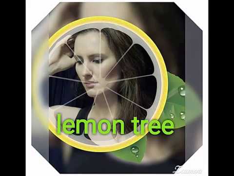 Ana - Lemon tree