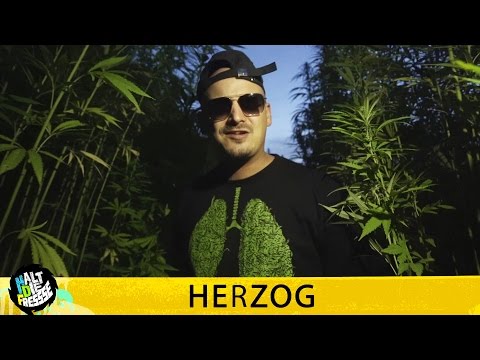 Video thumbnail for Blätter, die die Welt bedeuten