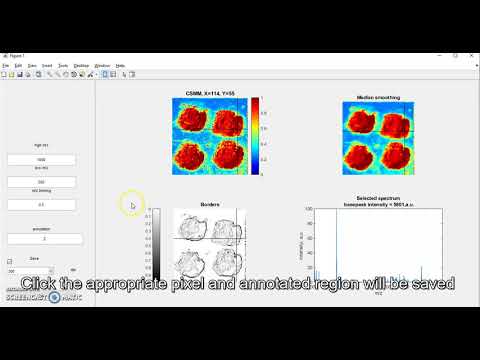 Interactive_CSSM screencast