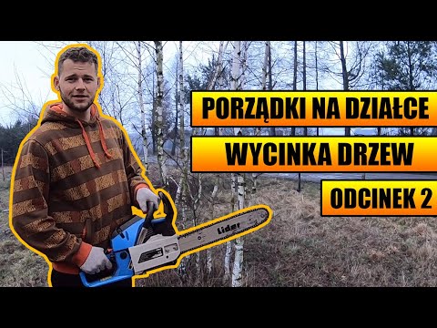 Wycinka drzew, samosiejki i ogólne przygotowanie działki pod budowę. Odcinek 2