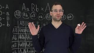 Третий закон Менделя. Естествознание Третий закон Менделя. Естествознание