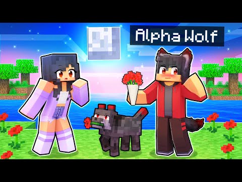 Aphmau's Love Affair with the Alpha Wolf