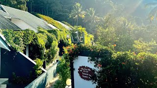 Munnar Tea Hills resort - Full tour