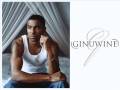 Ginuwine - Back 2 The Basics (Remix)